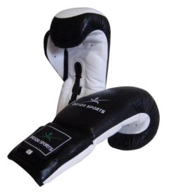 Coach Boxing Glove