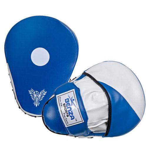 Boxing Focus Target