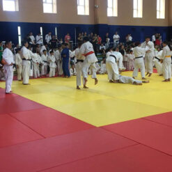 Judo Mats Smooth Surface