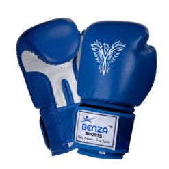 Solid Series Boxing Glove