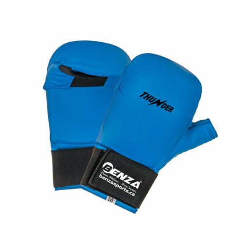 Karate Gloves