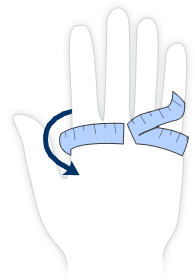 hand_illustration for mma glove size