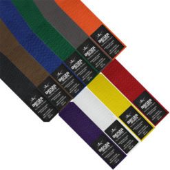 Karate Taekwondo Judo Rank Belts