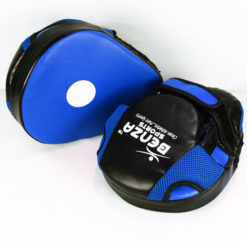 Boxing Focus Mitts