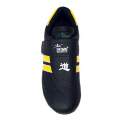 Revolution taekwondo shoes