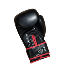 Benza Blast 18 Ounce boxing gloves 2